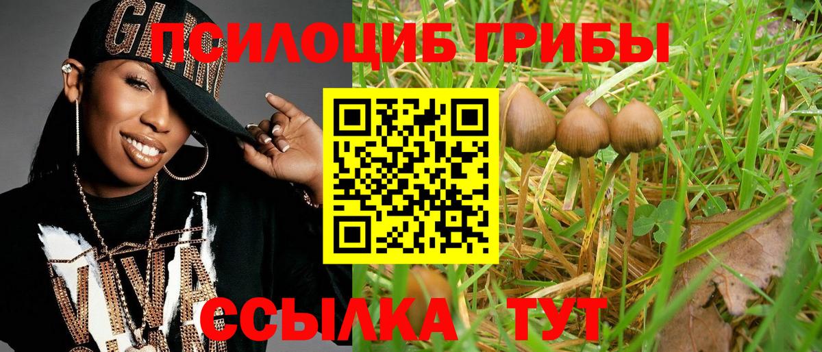Галлюциногенные грибы Magic Shrooms Черногорск